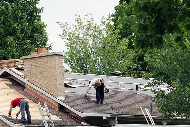 Professional Roofing Contractor in Glendale Heights, IL